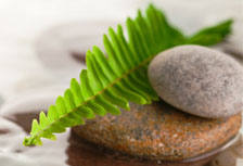 A Center for Addiction and Recovery - Drug and Alcohol Rehab Center
