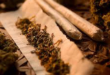 Marijuana Rehab, Marijuana Abuse