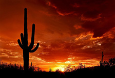 Drug Rehab in Arizona
