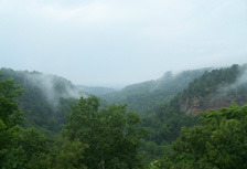 Drug Rehab in Arkansas