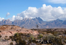 Drug Rehab in New Mexico