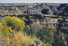 Drug Rehab in North Dakota