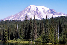 Drug Rehab in Washington